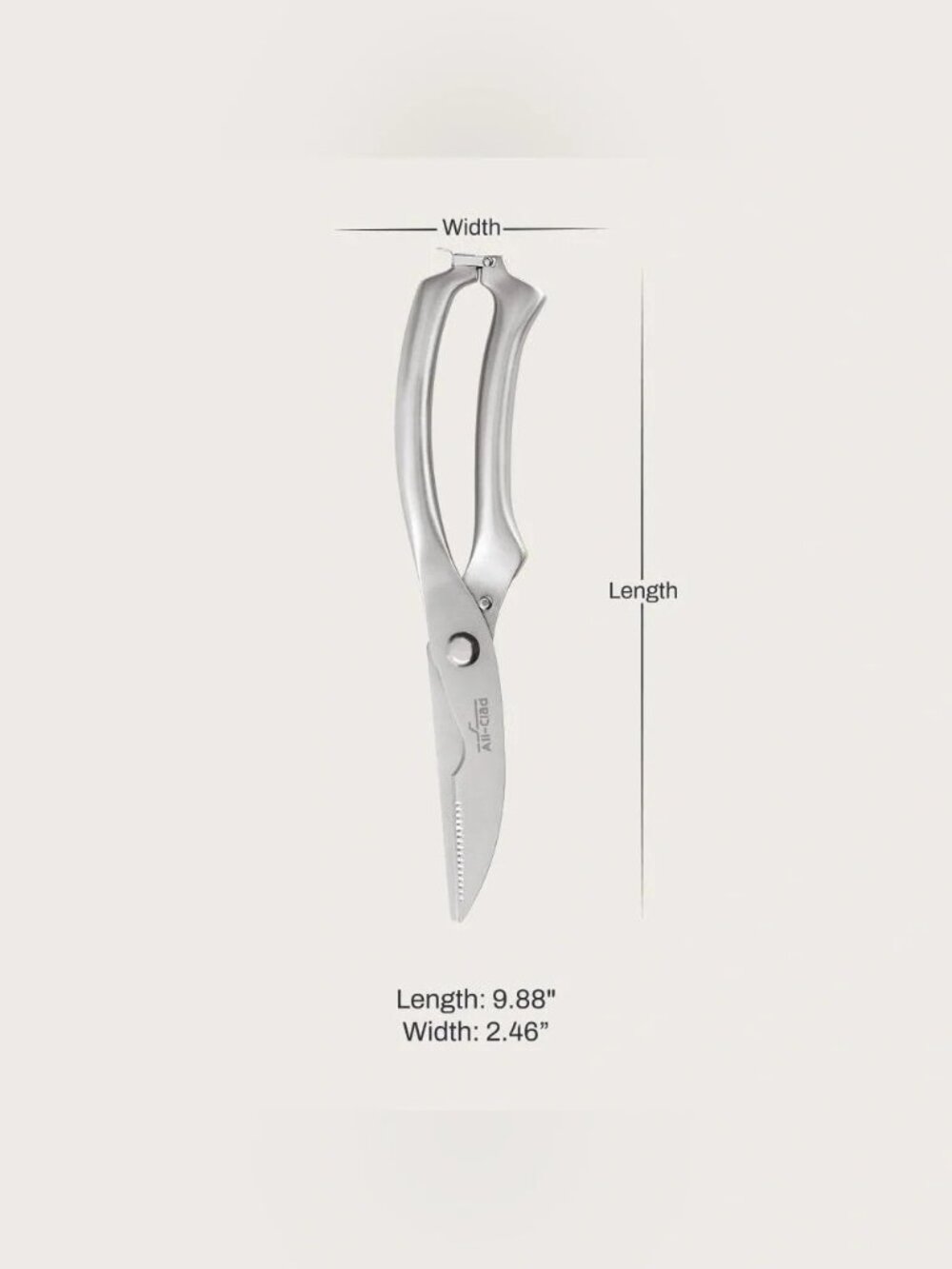 ALL CLAD 10” Stainless Steel Poultry Shears NWT in BOX - Picture 3 of 5